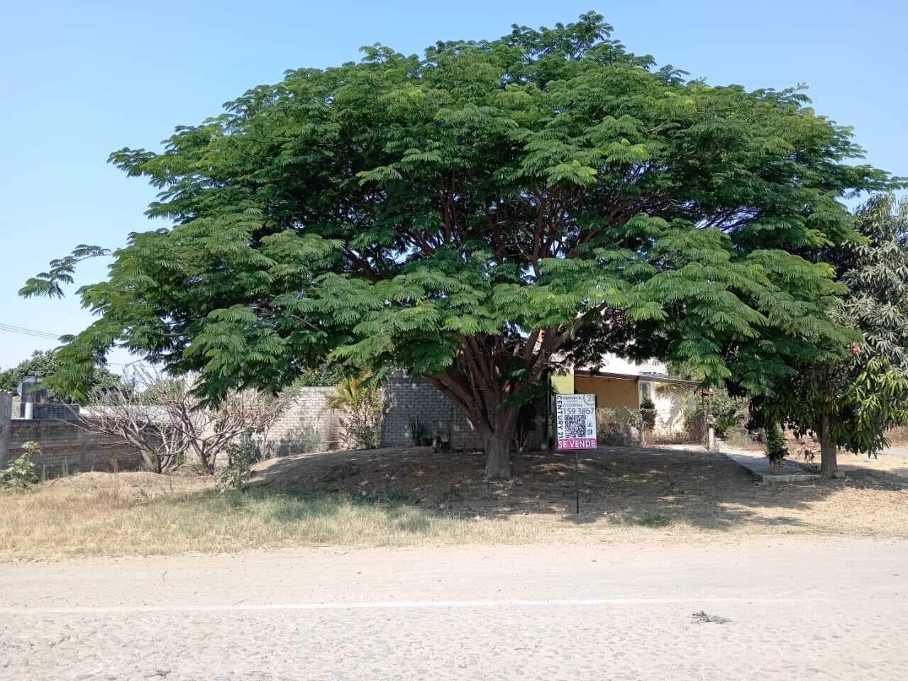 image-17