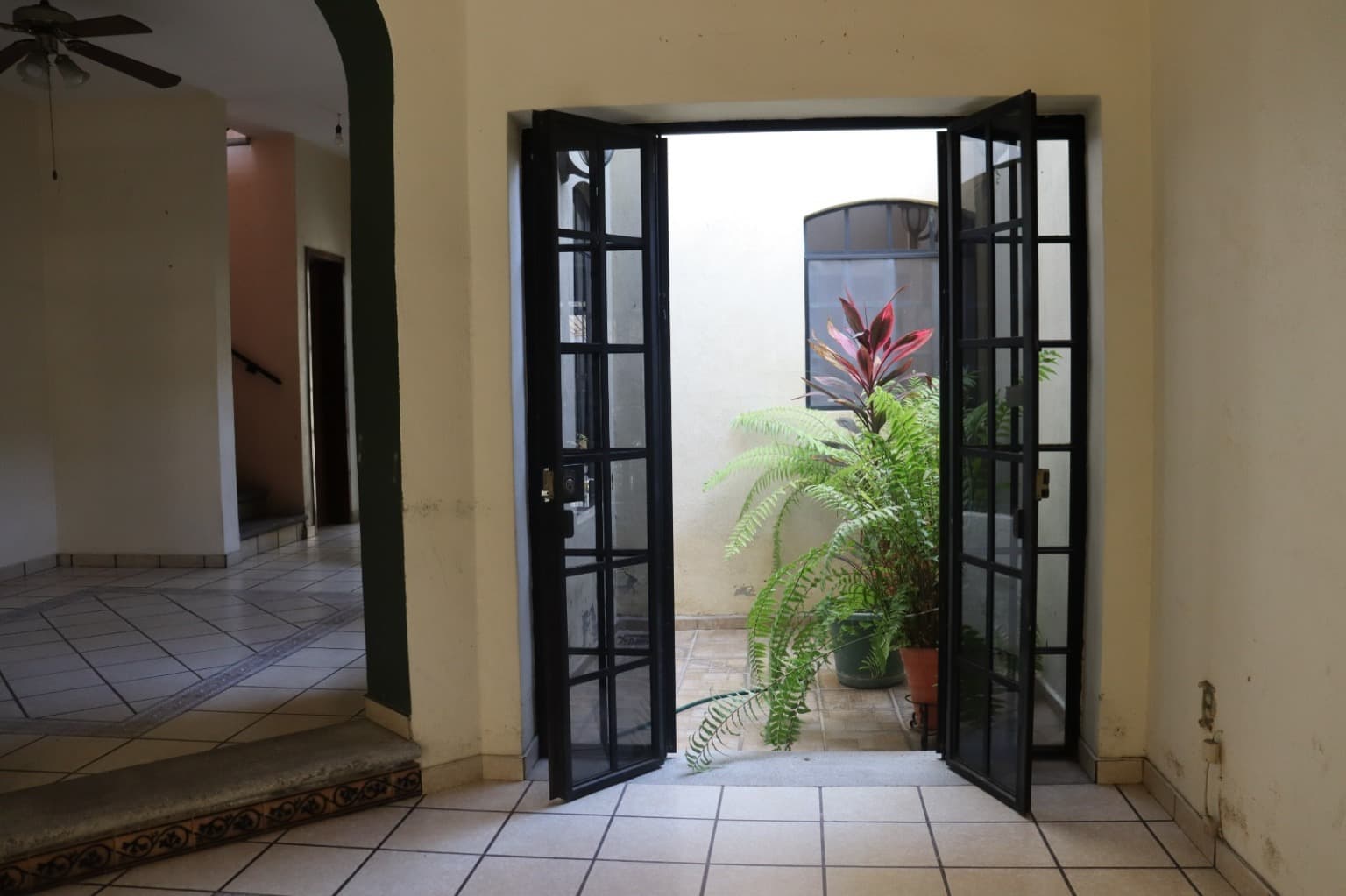 image-7