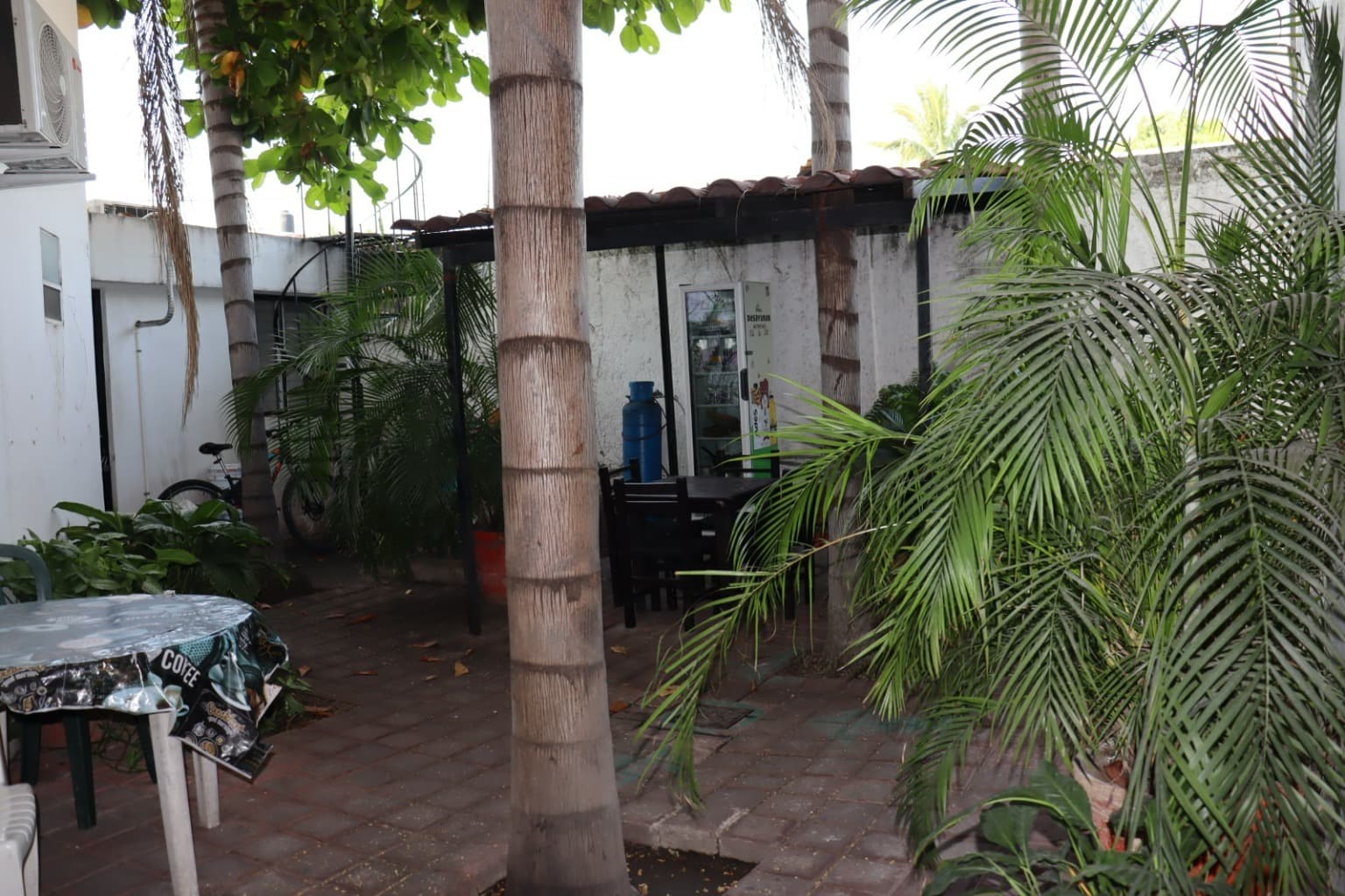 image-7