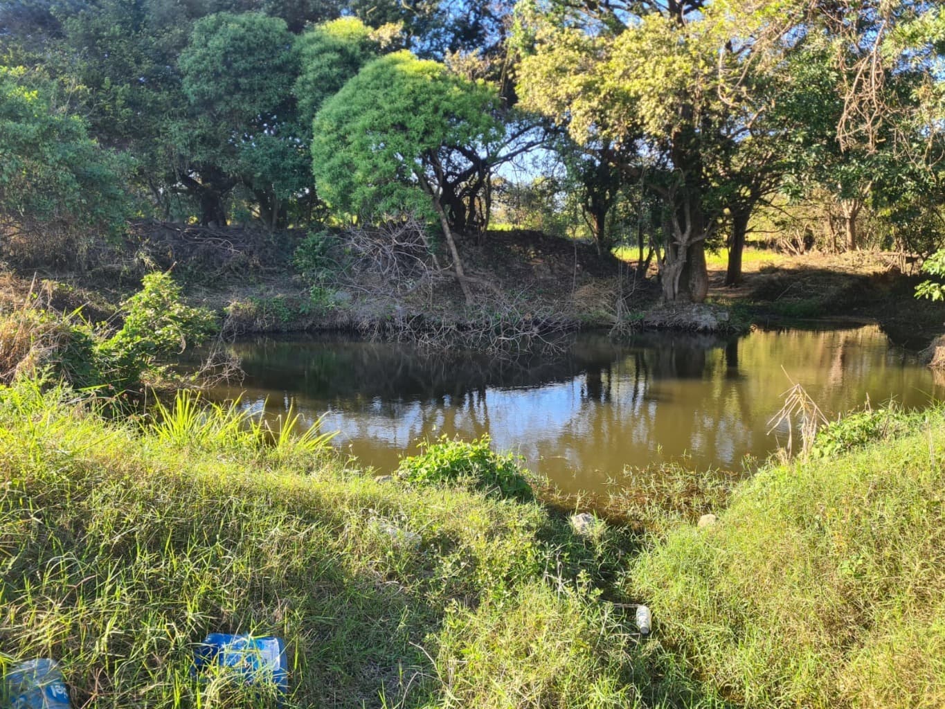 image-2