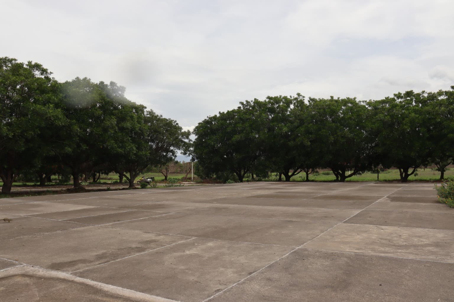 image-9
