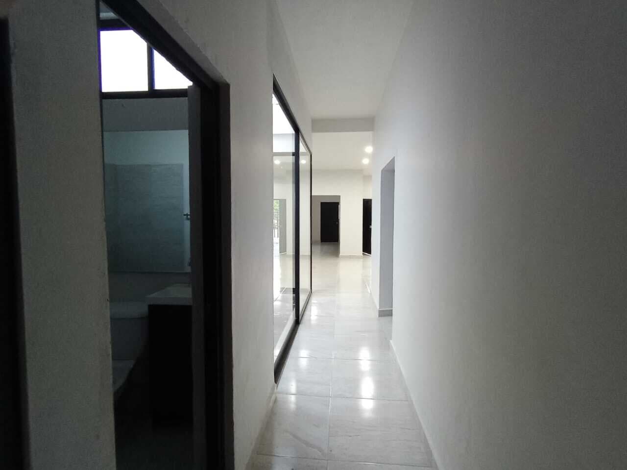 image-19