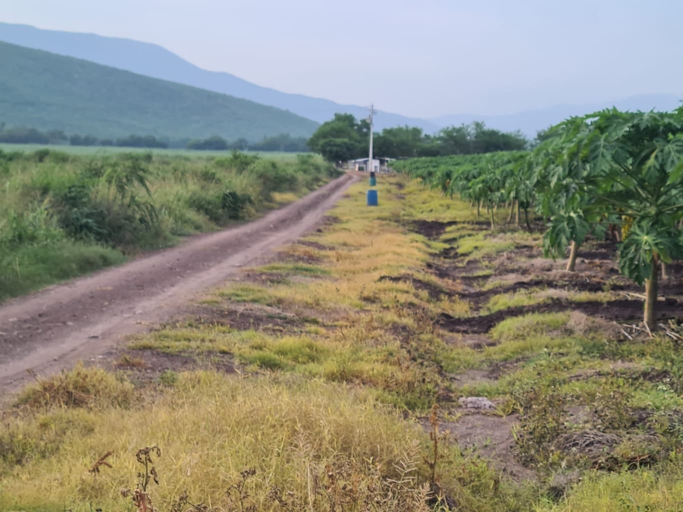 image-8