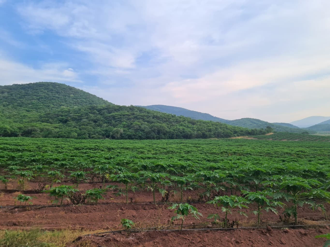 image-11