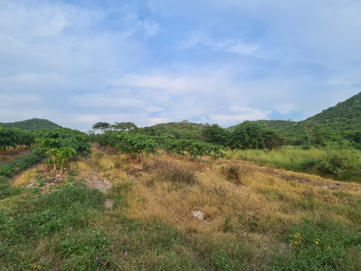 image-5