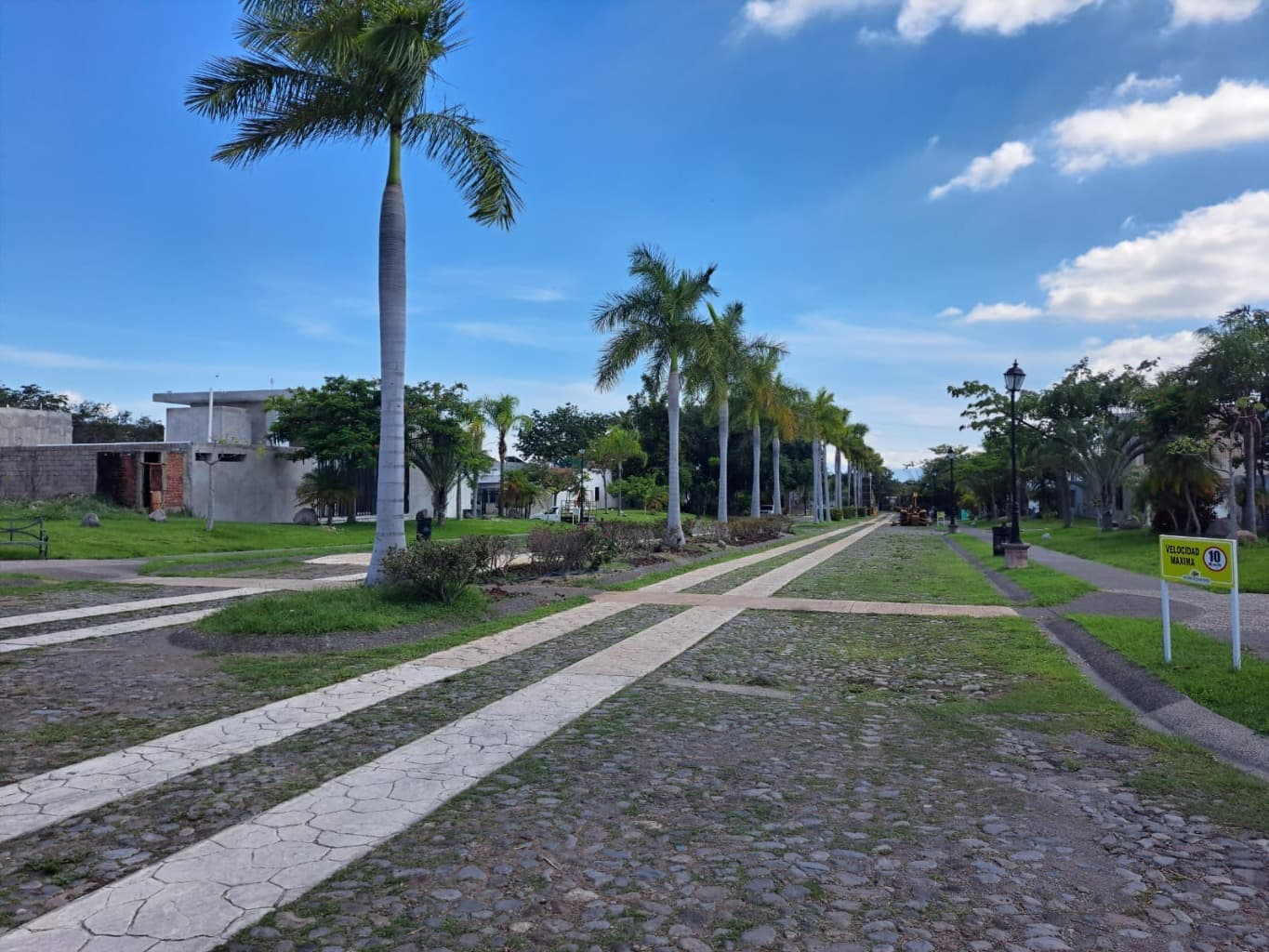 image-19