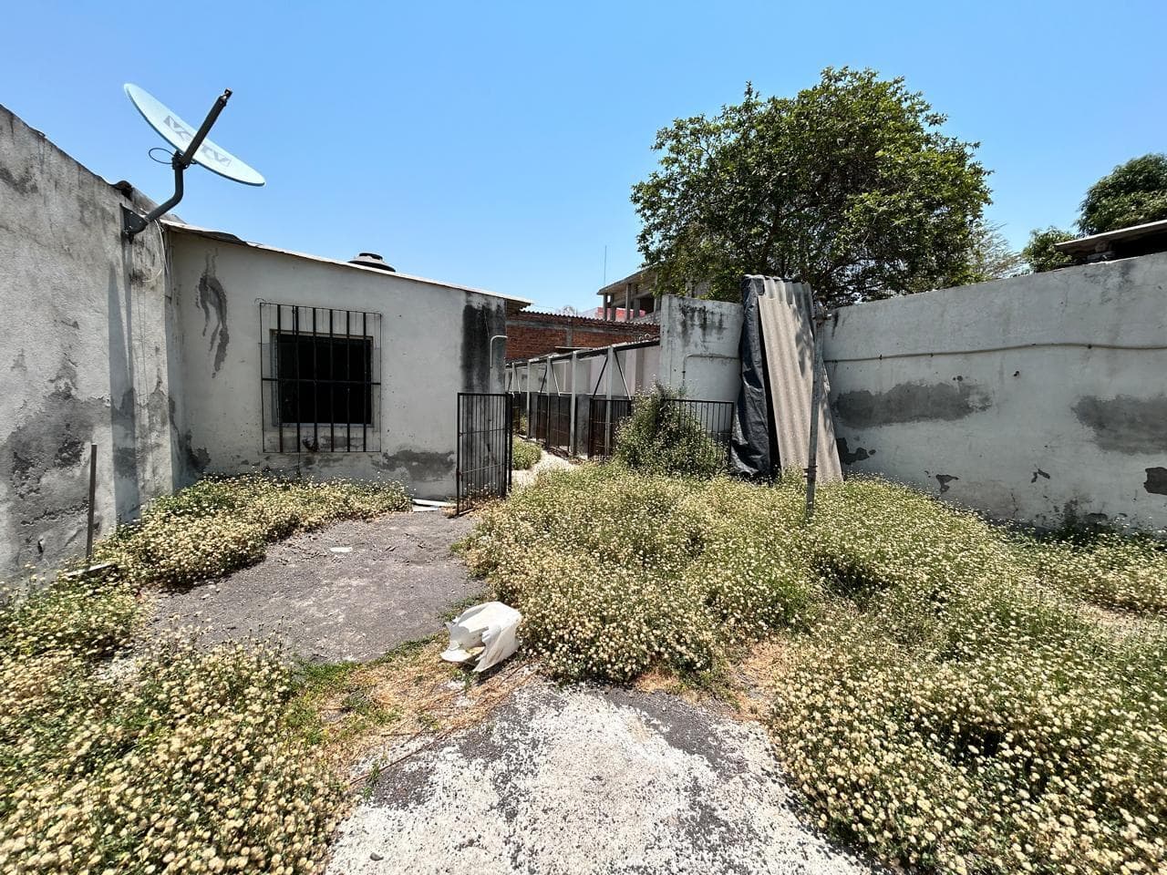 image-6