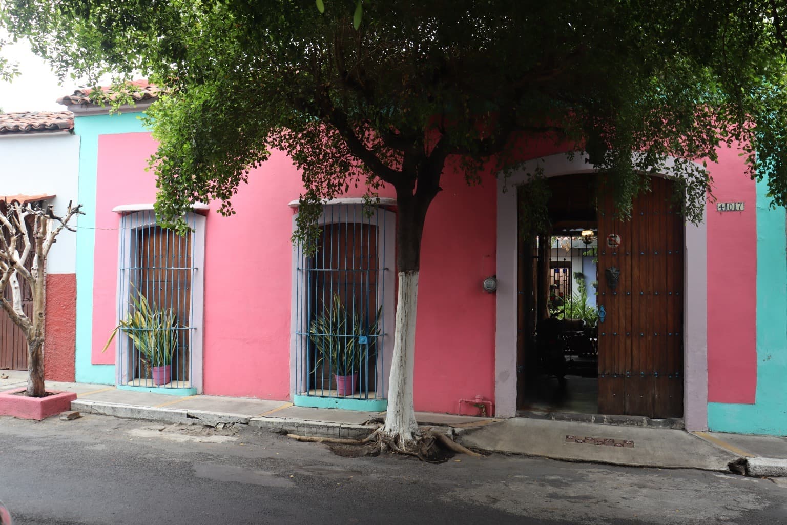 image-2