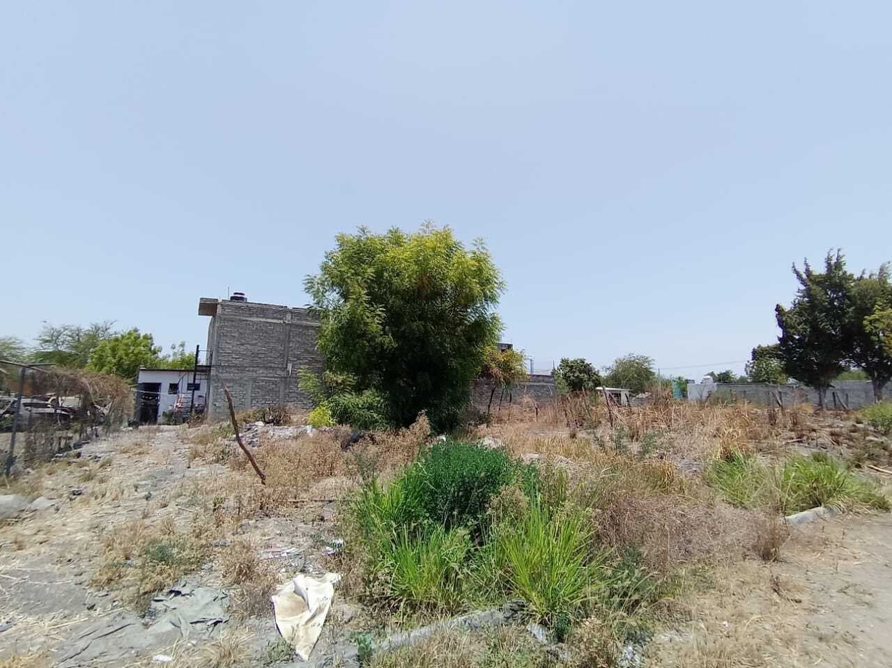 image-0