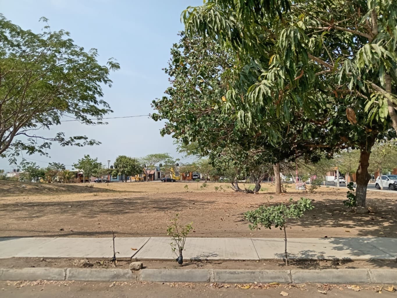image-20