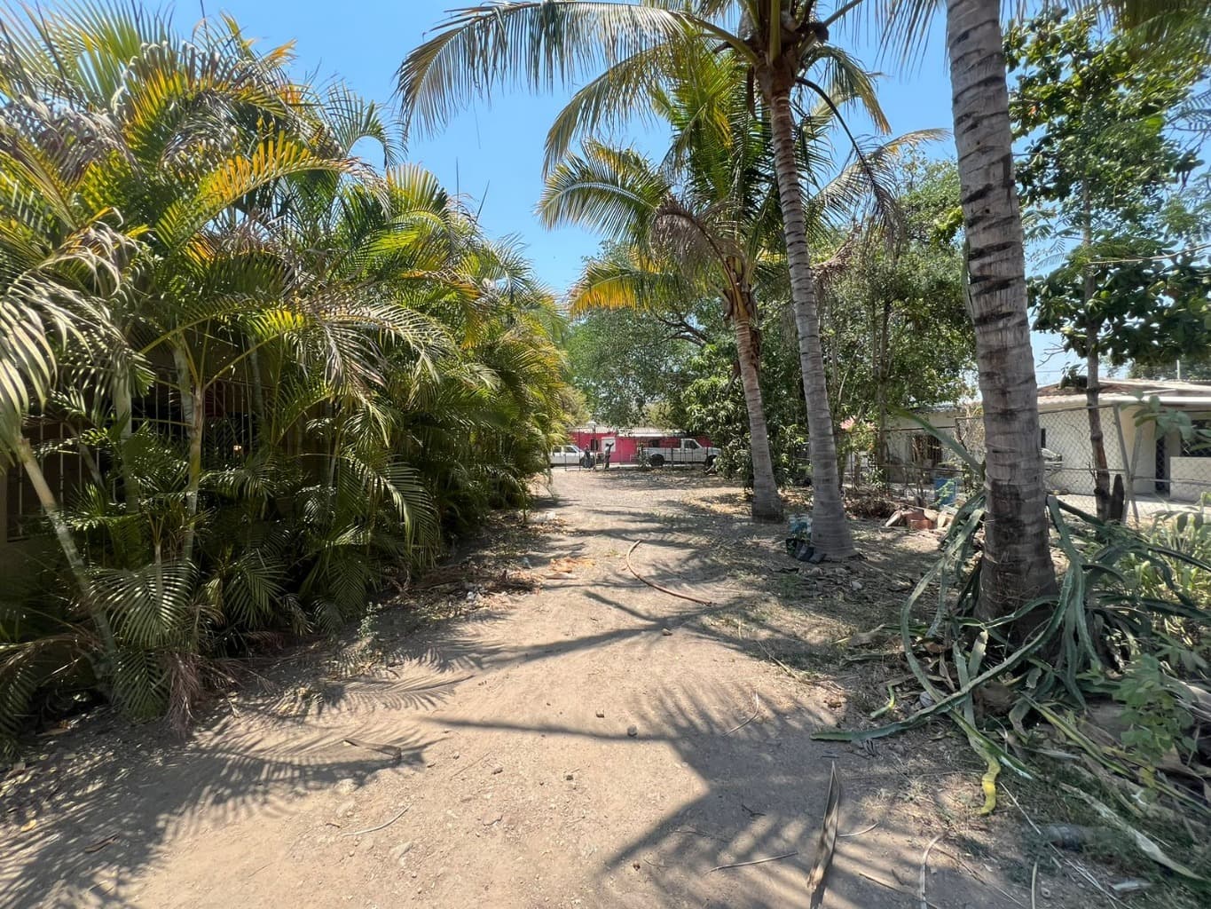 image-6