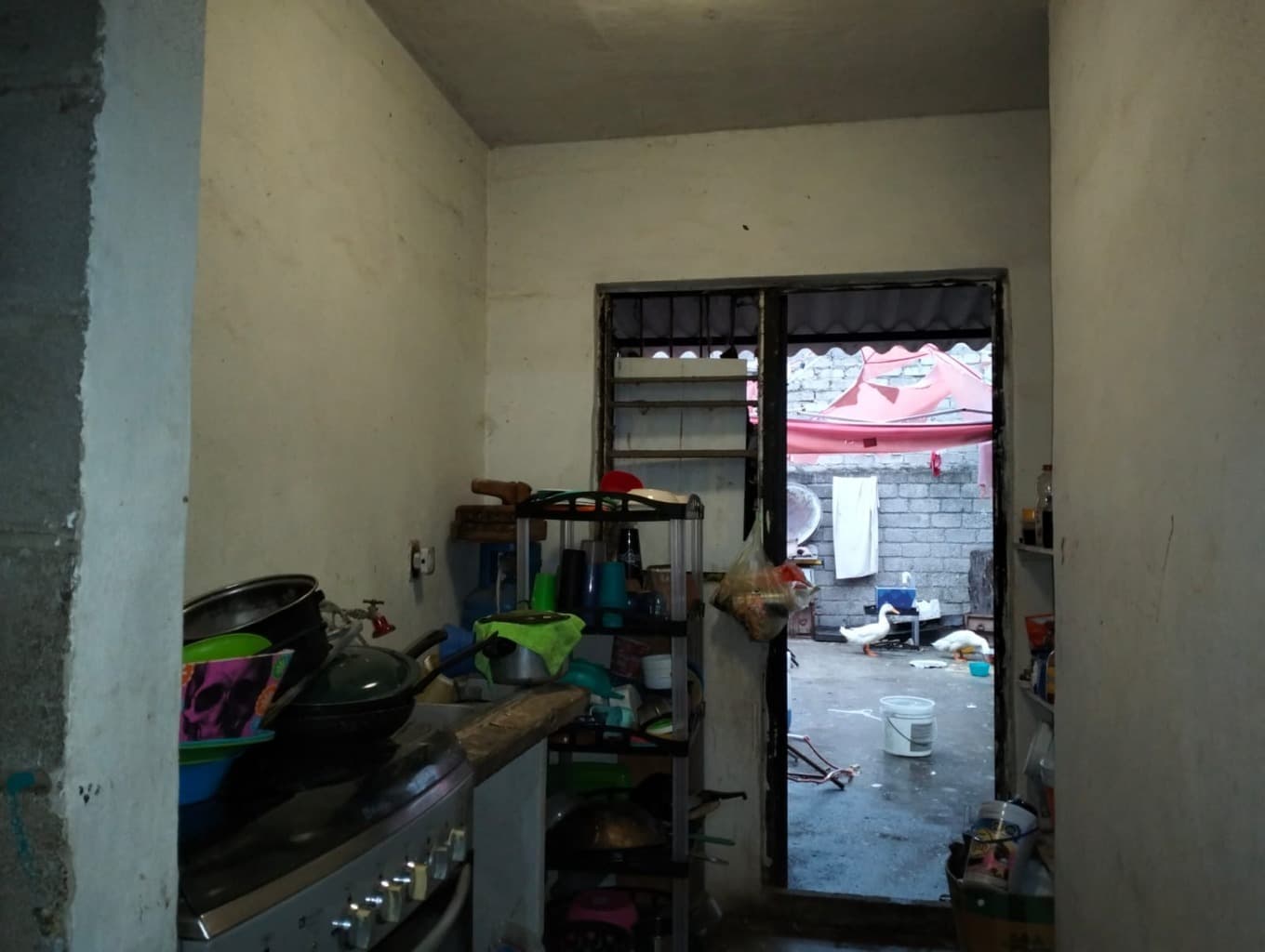 image-6