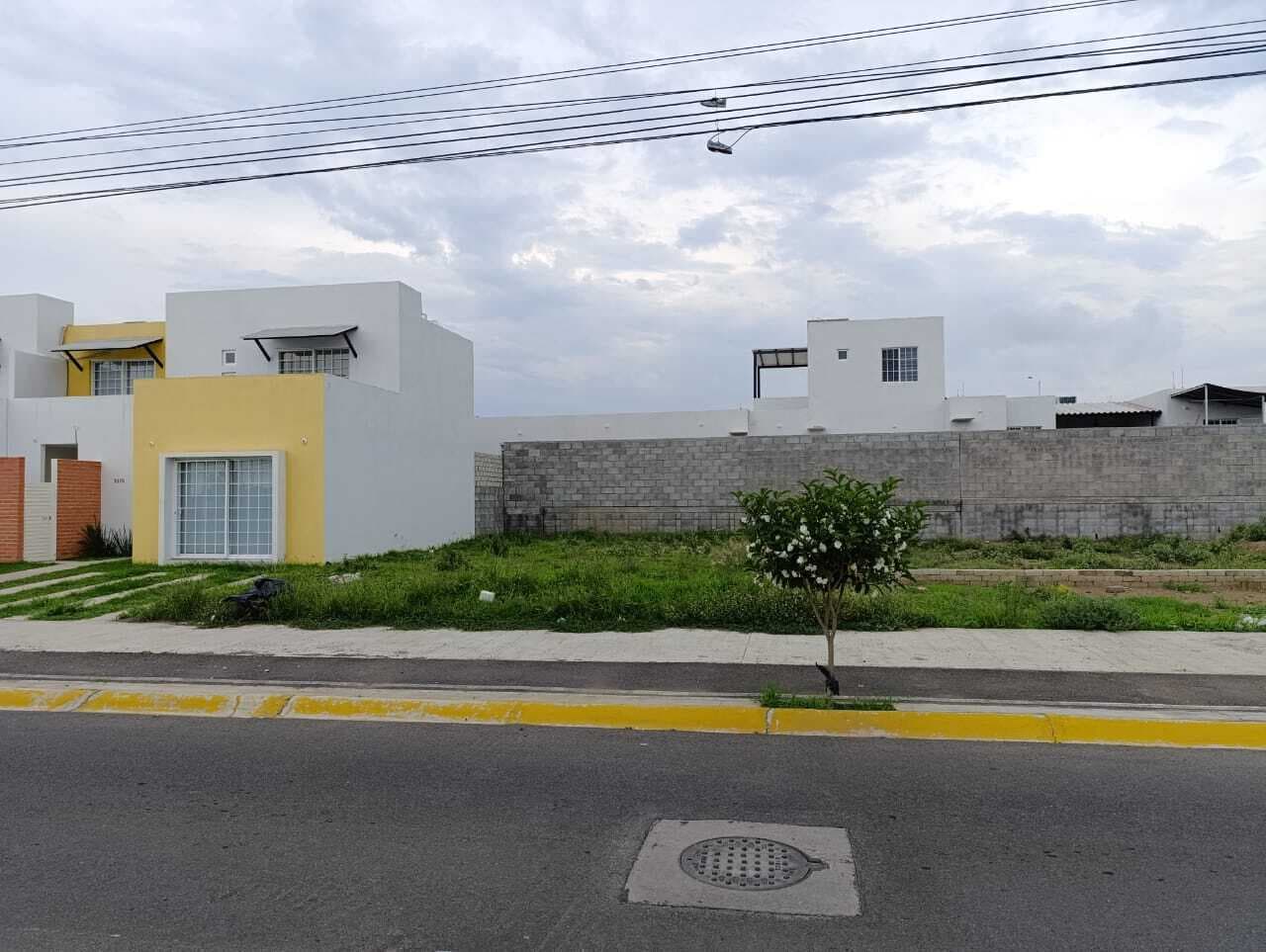 image-5