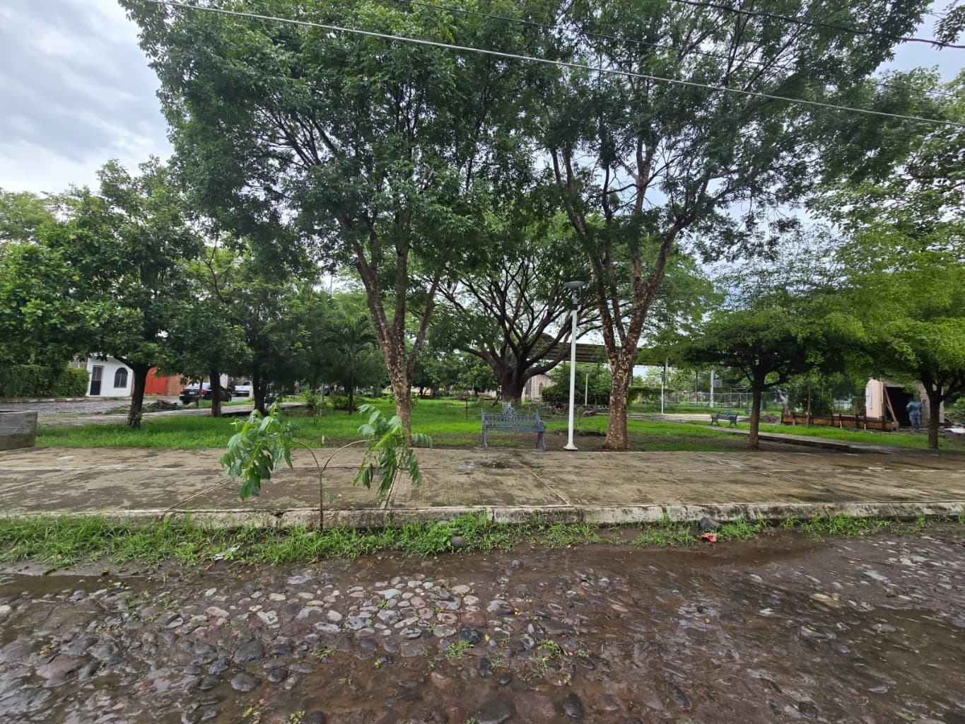 image-22