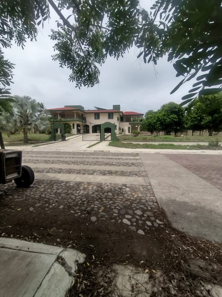image-20
