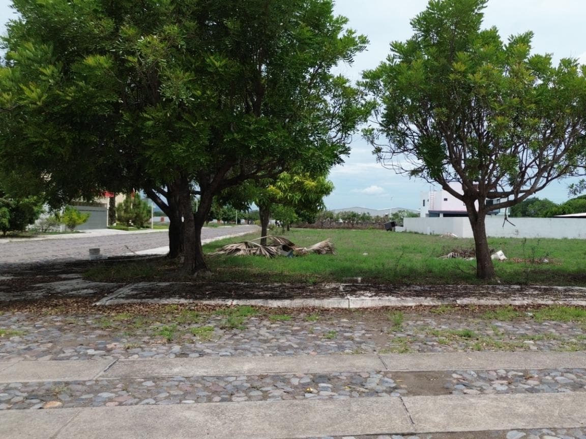 image-5