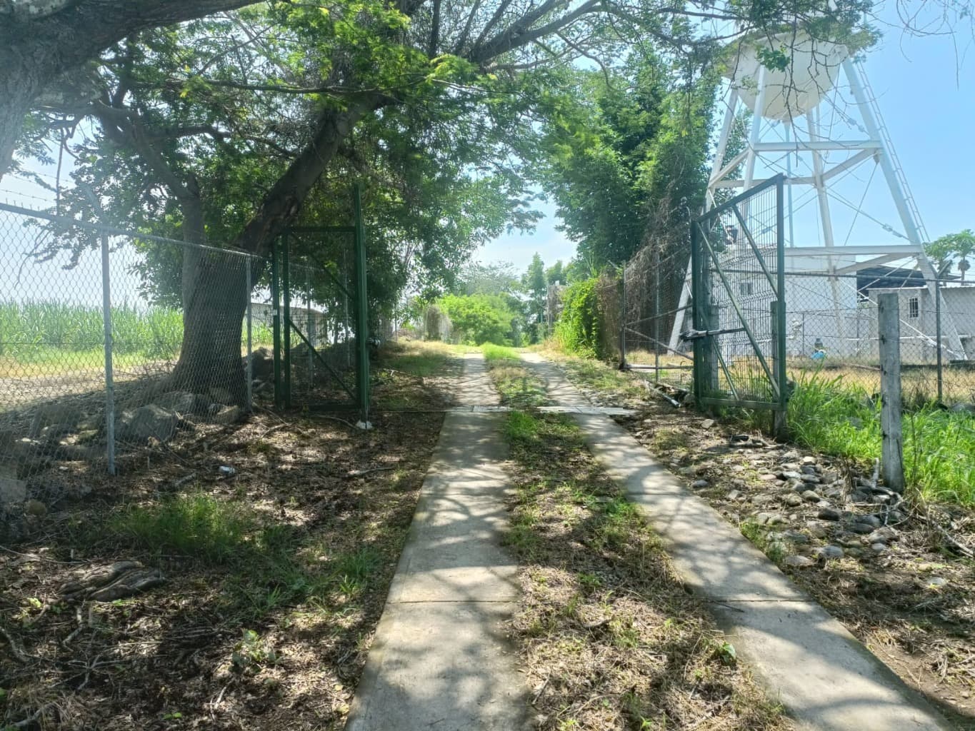 image-2