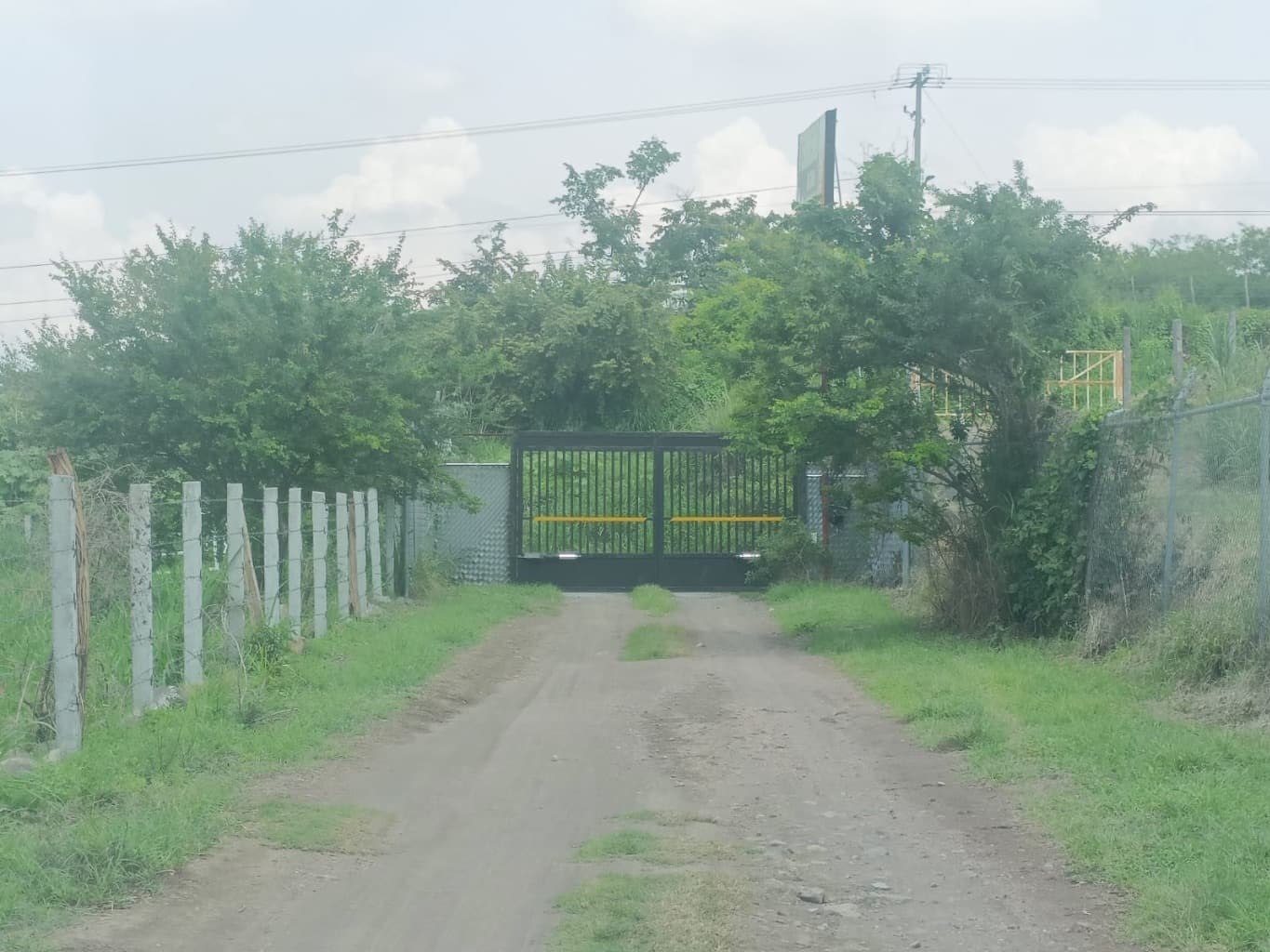 image-0