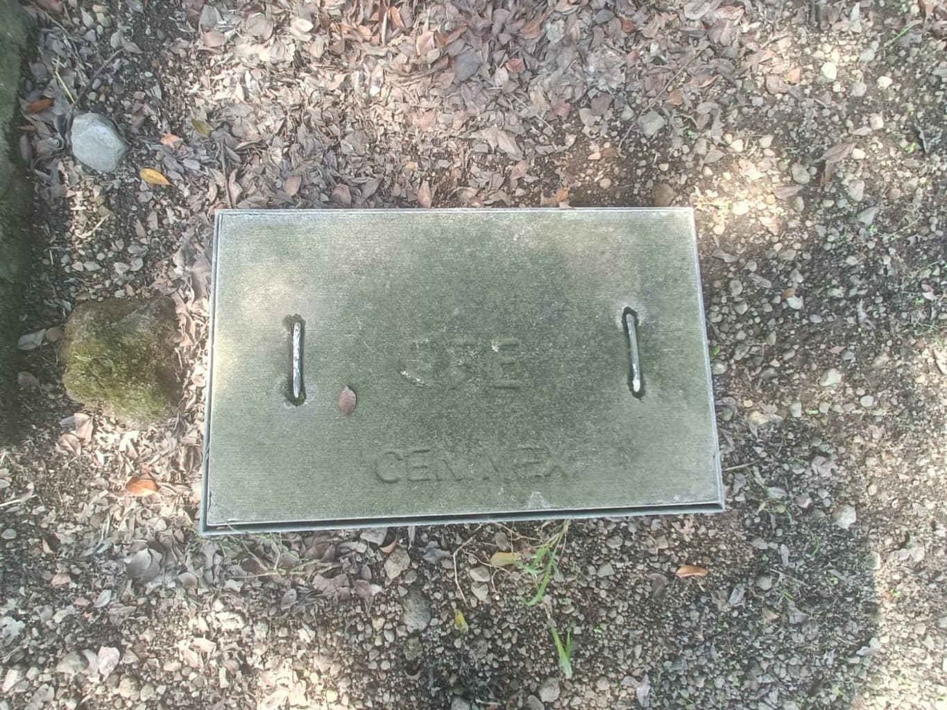 image-6
