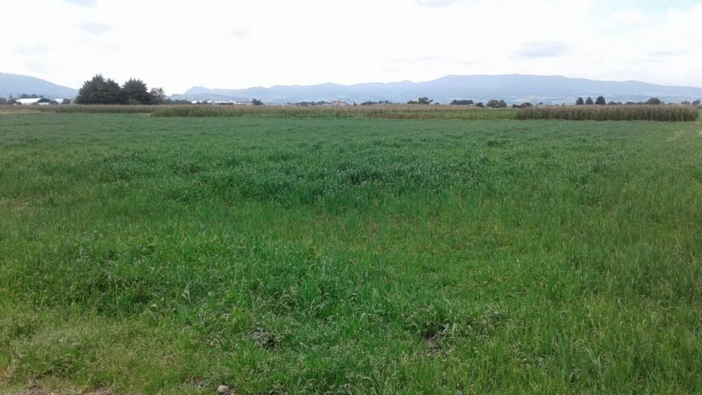 image-0