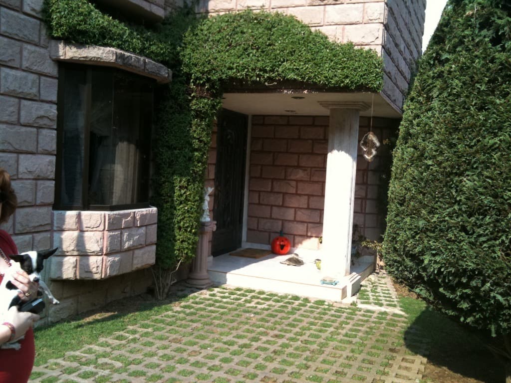 image-3