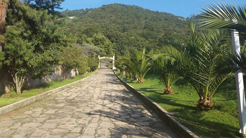 image-9