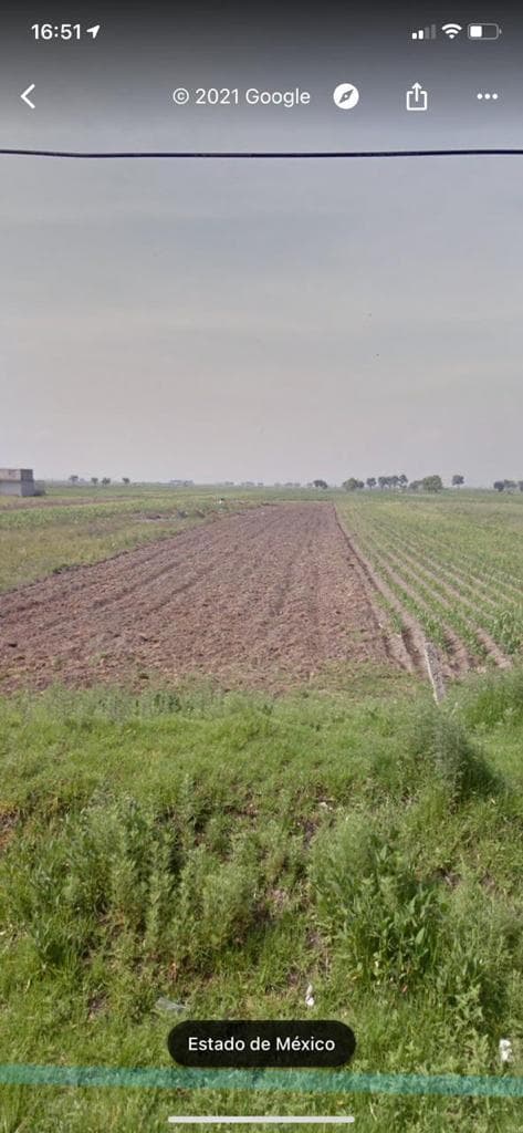 image-0