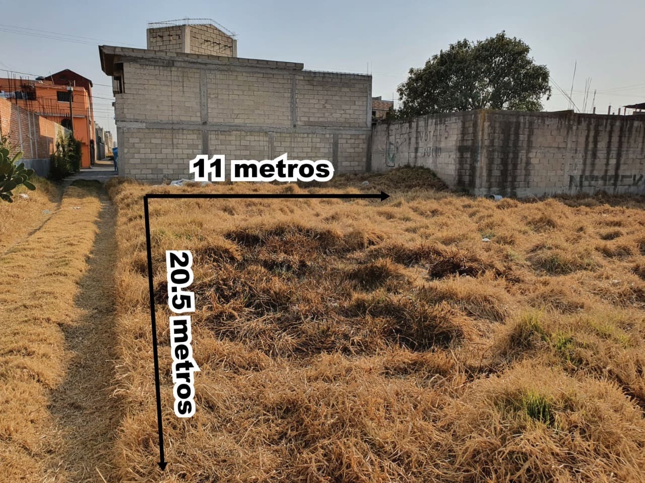 image-0