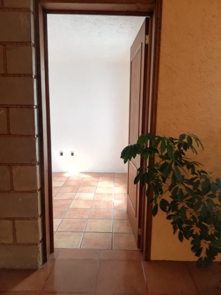 image-19