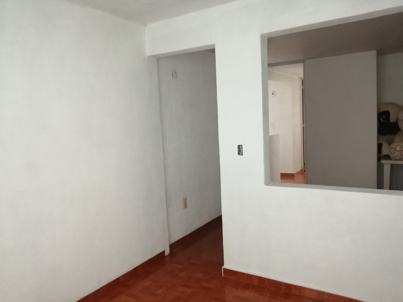 image-19