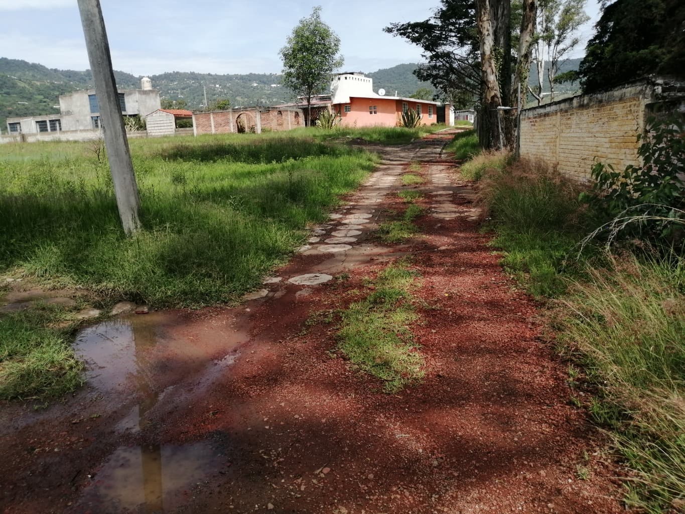 image-19