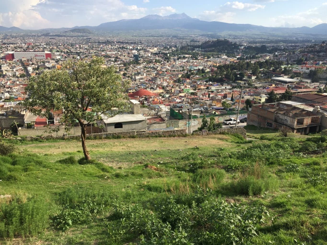 image-5
