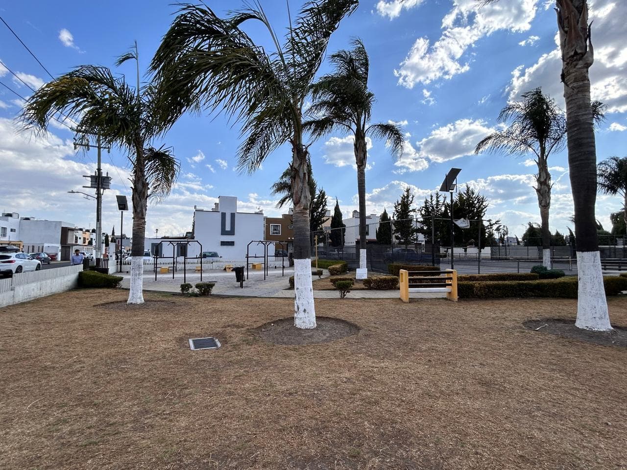 image-19