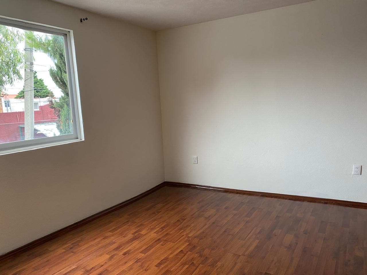 image-19