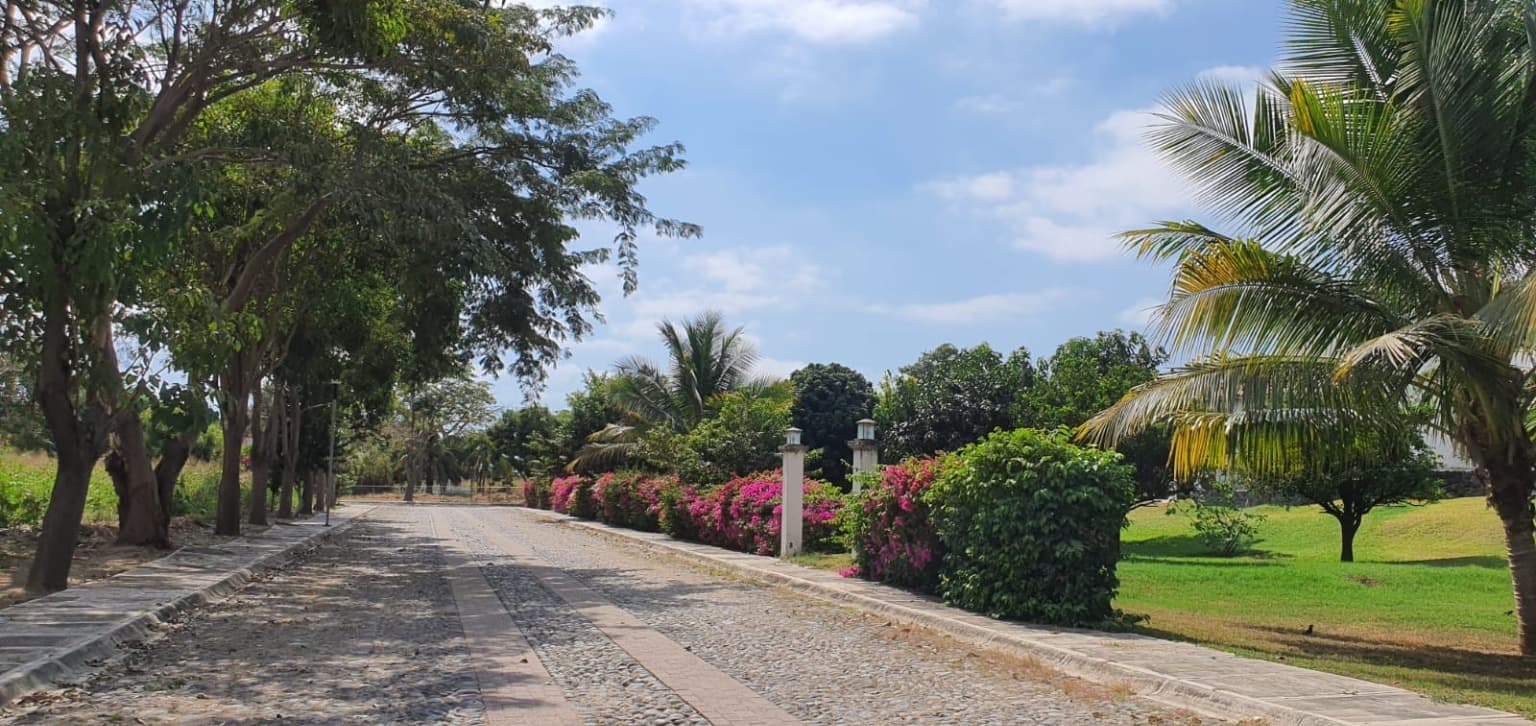 image-3
