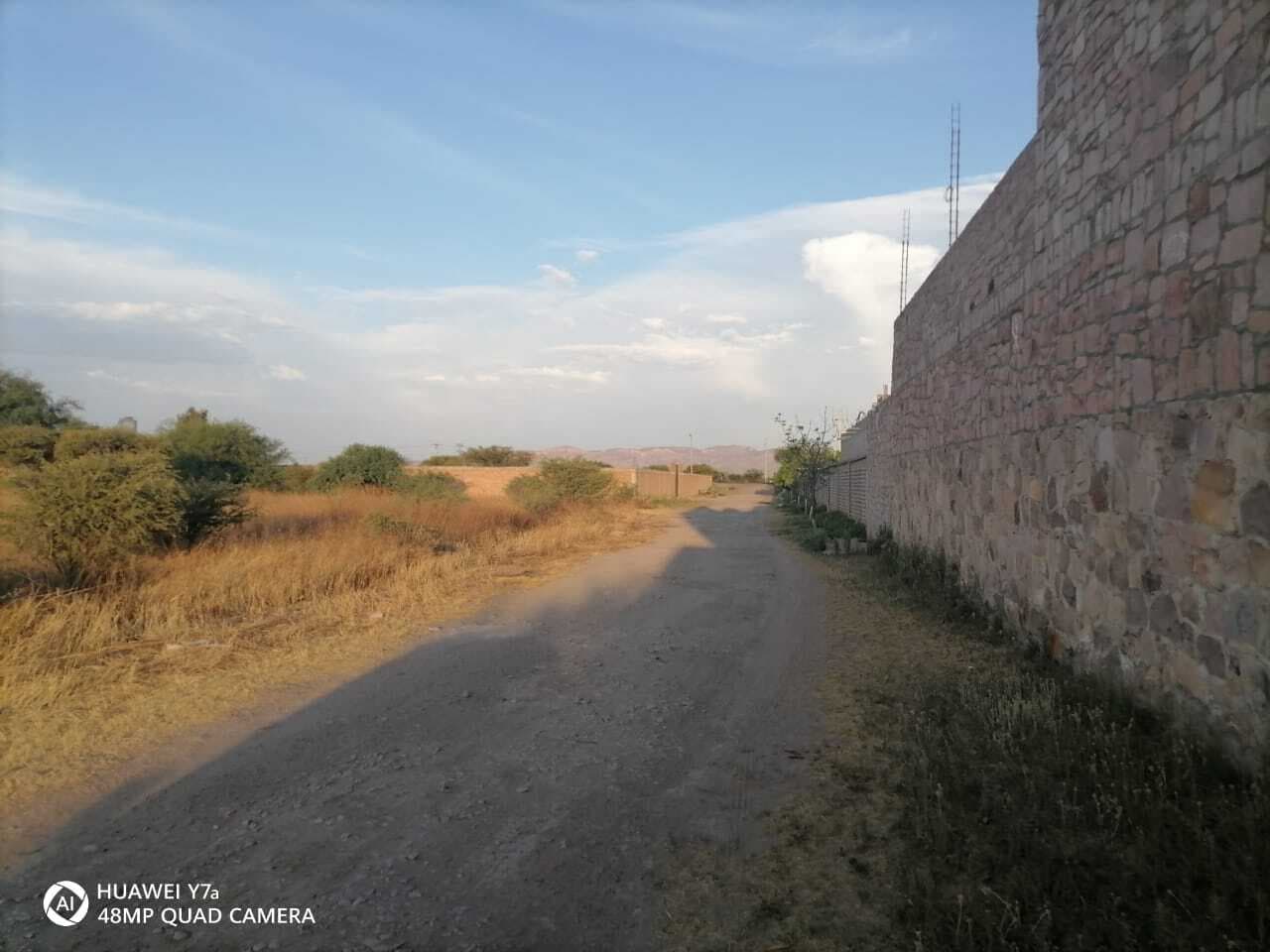 image-0