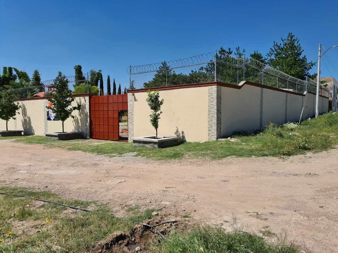 image-0