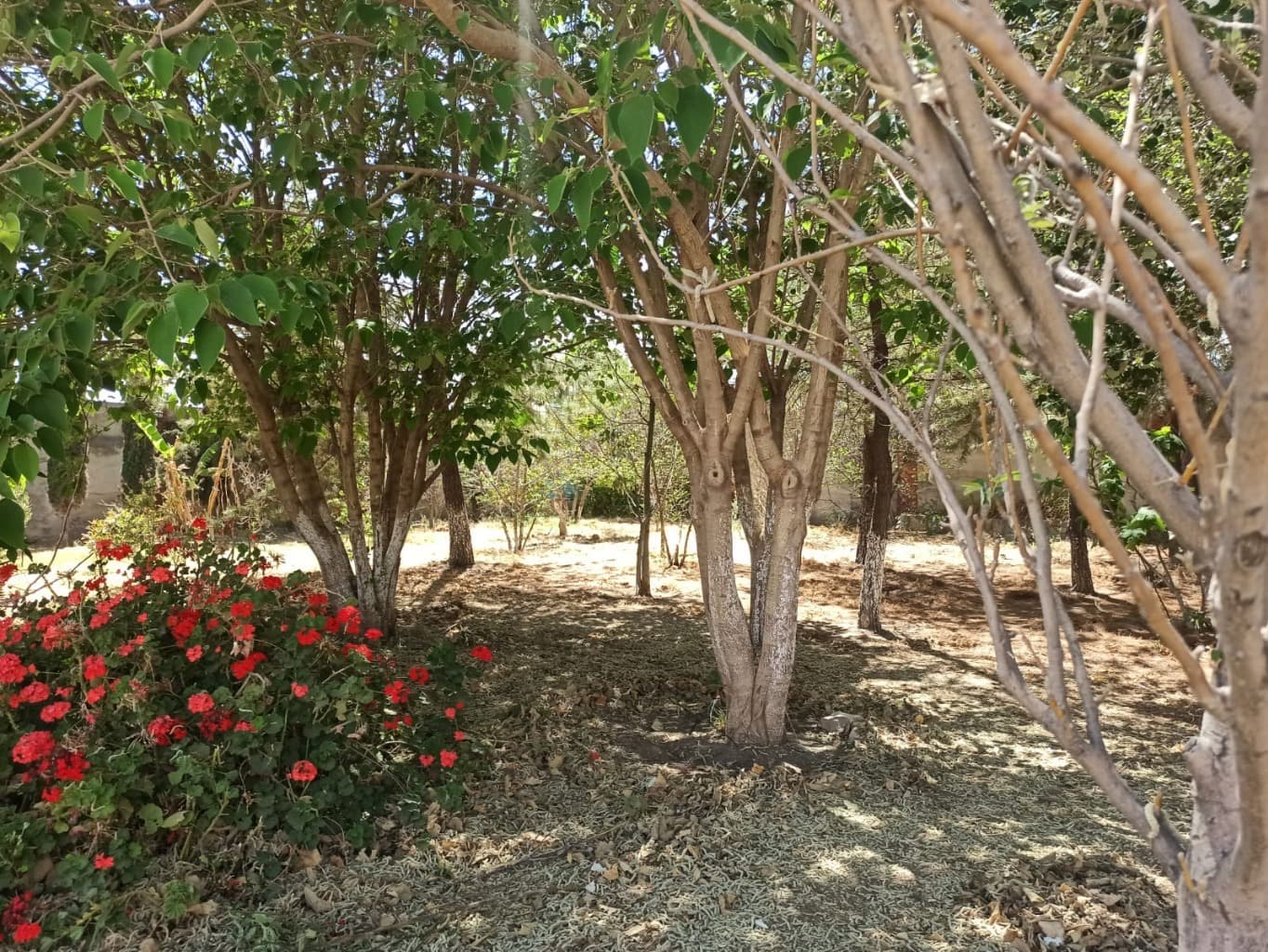 image-14
