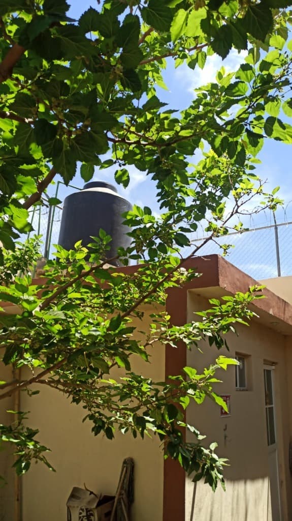 image-19