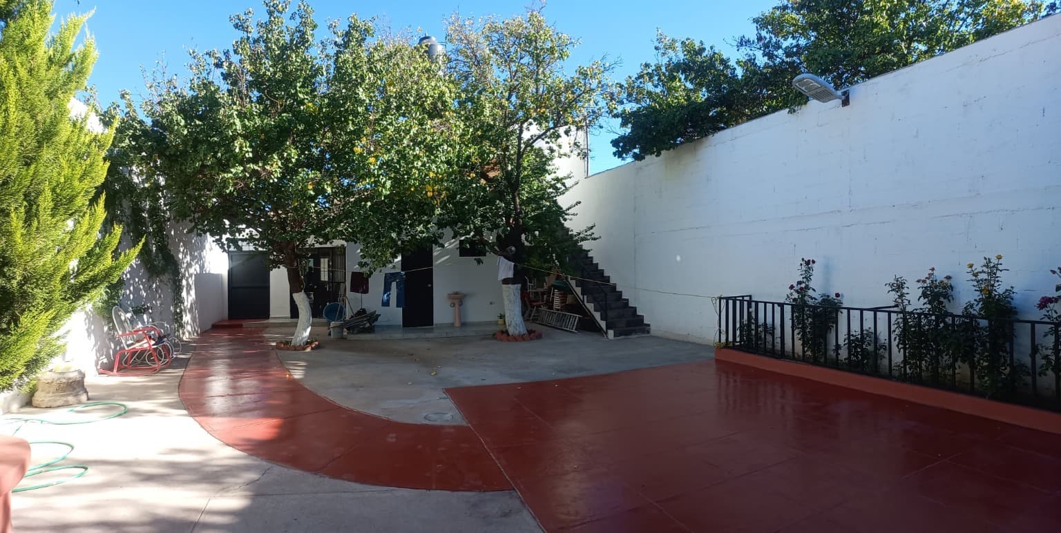 image-20