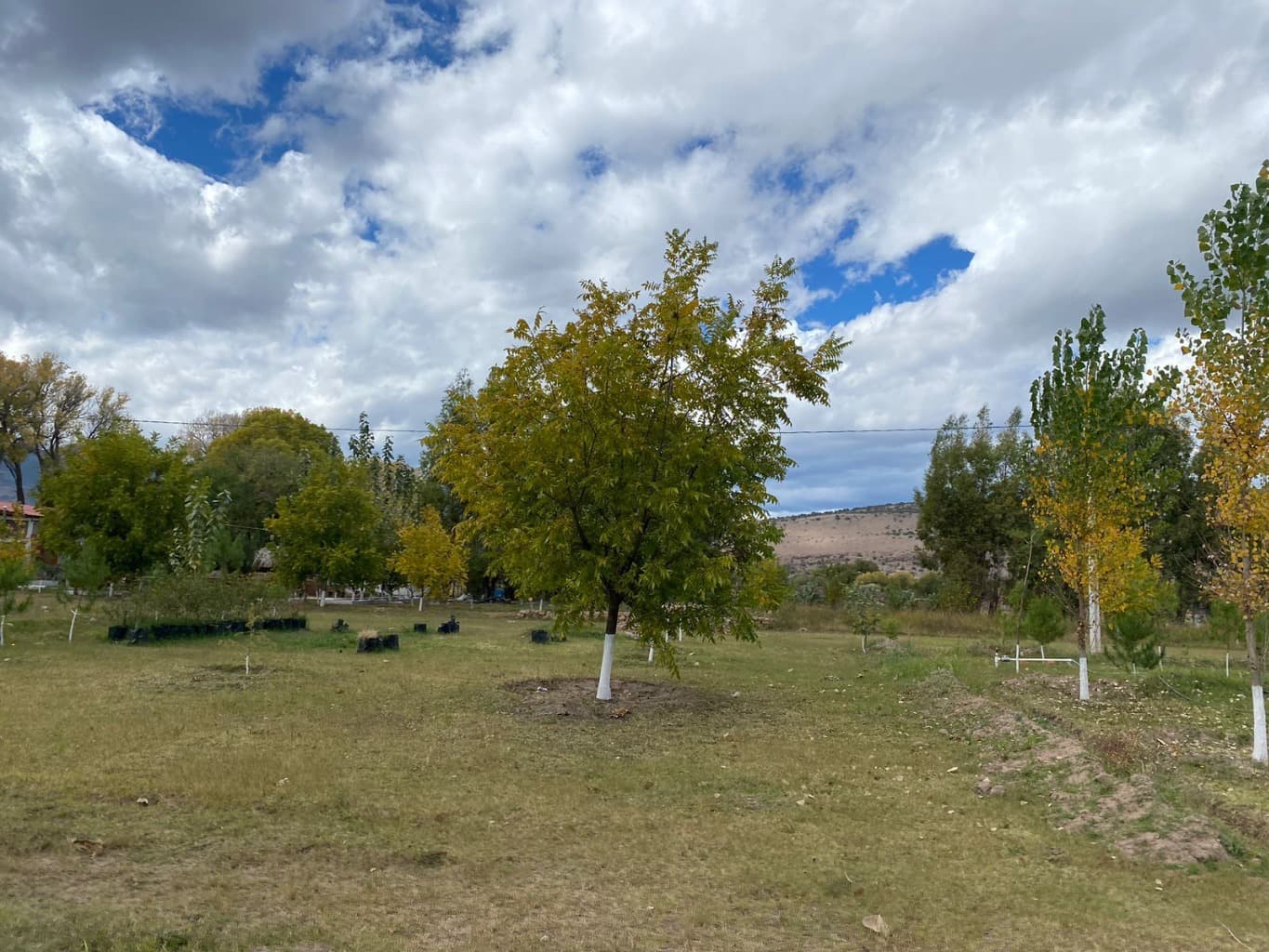 image-9
