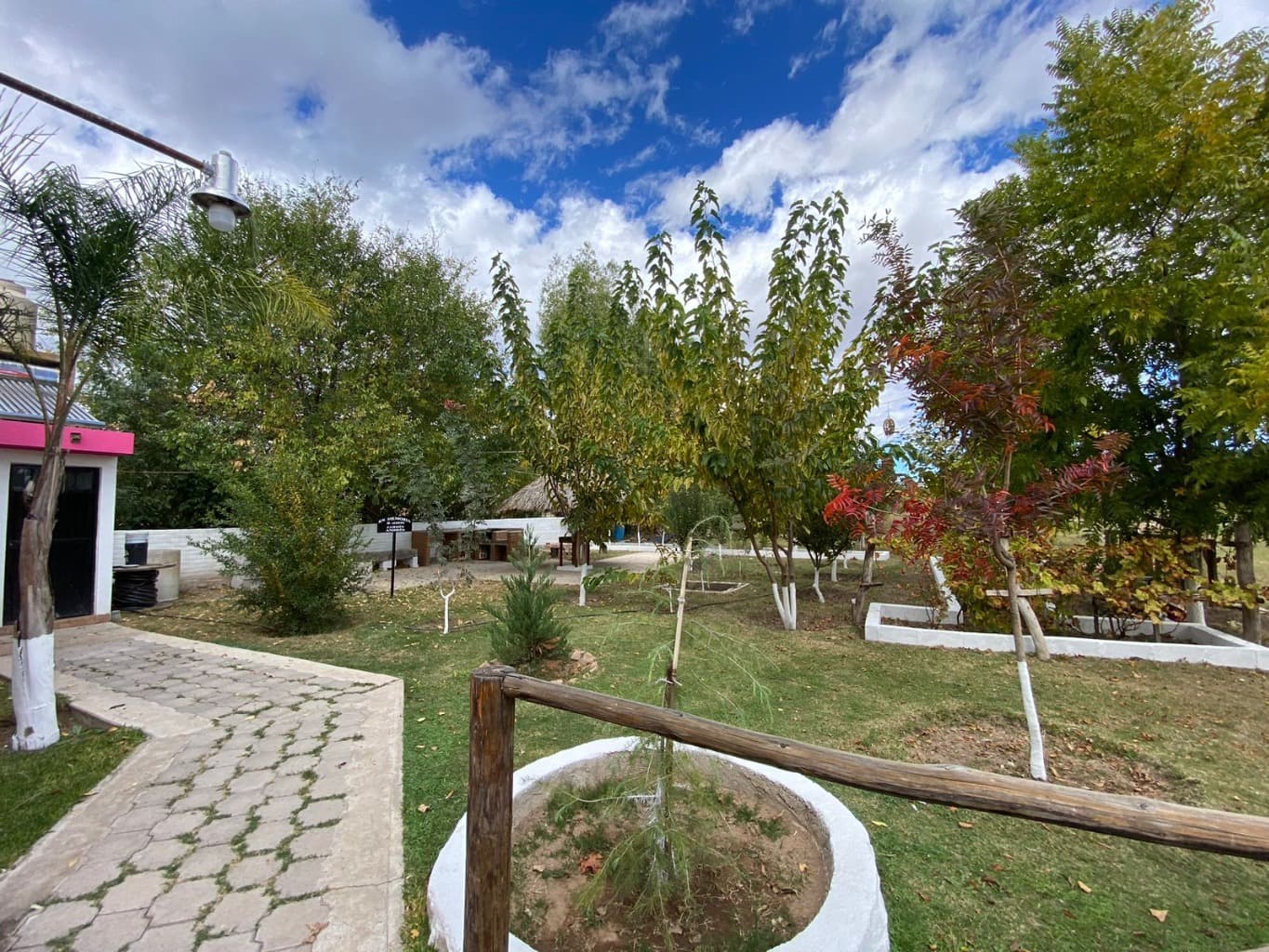 image-6