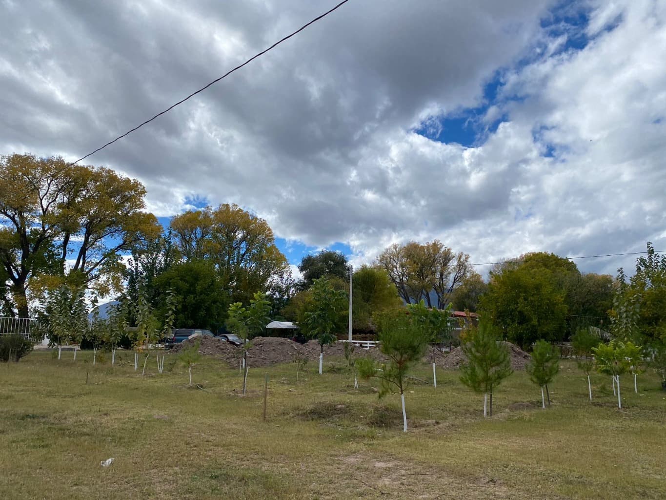 image-14