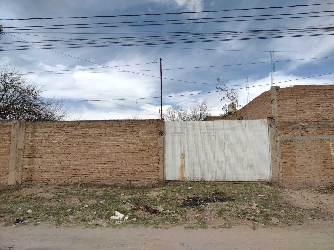 image-0