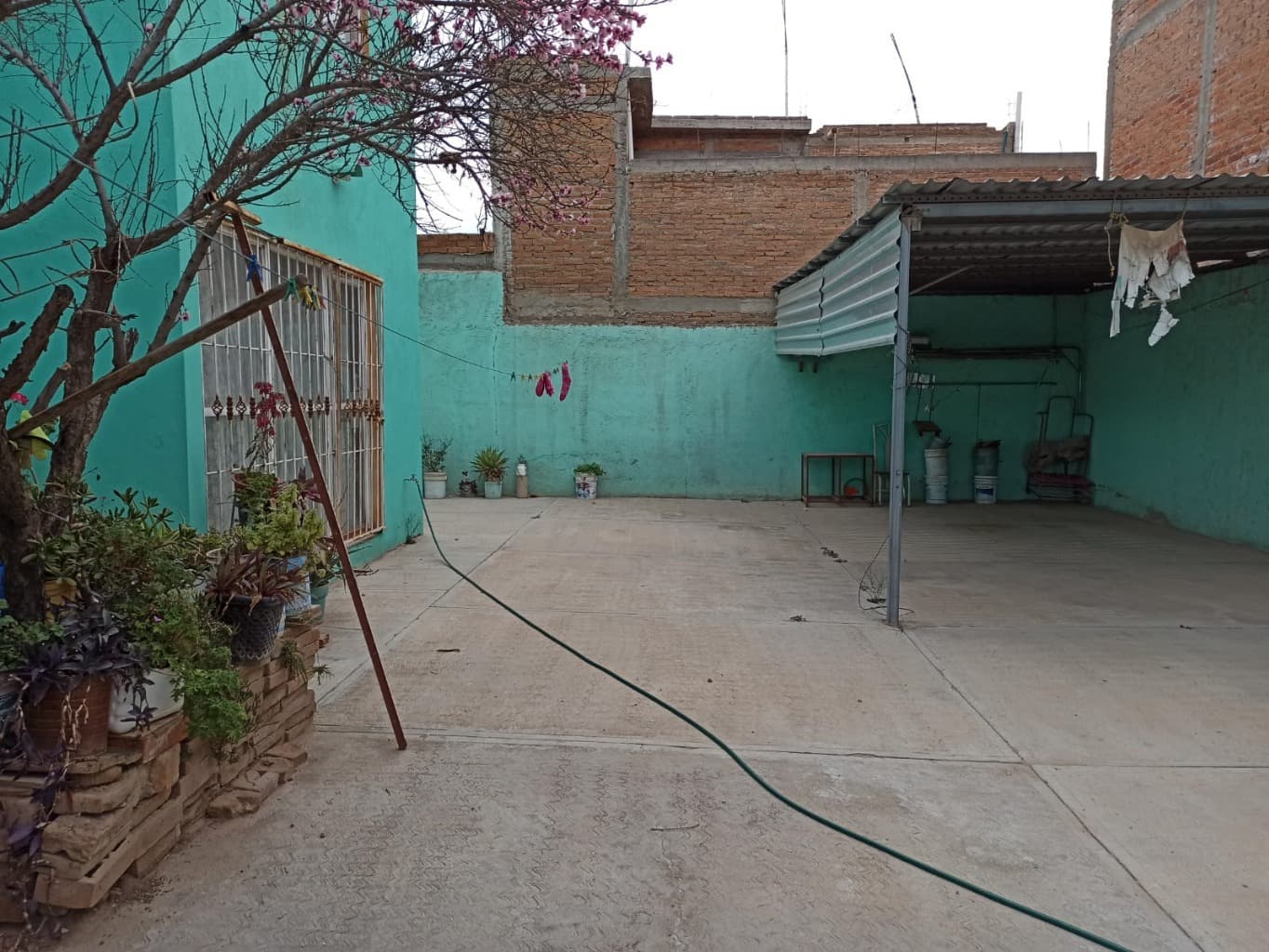 image-19
