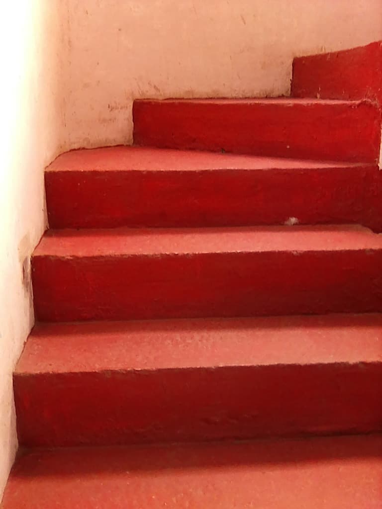 image-19