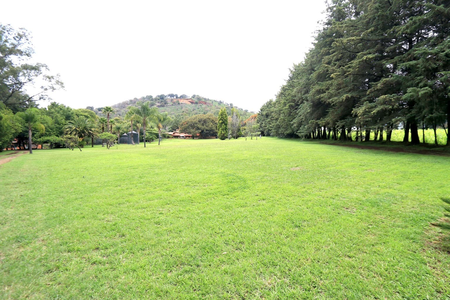 image-47