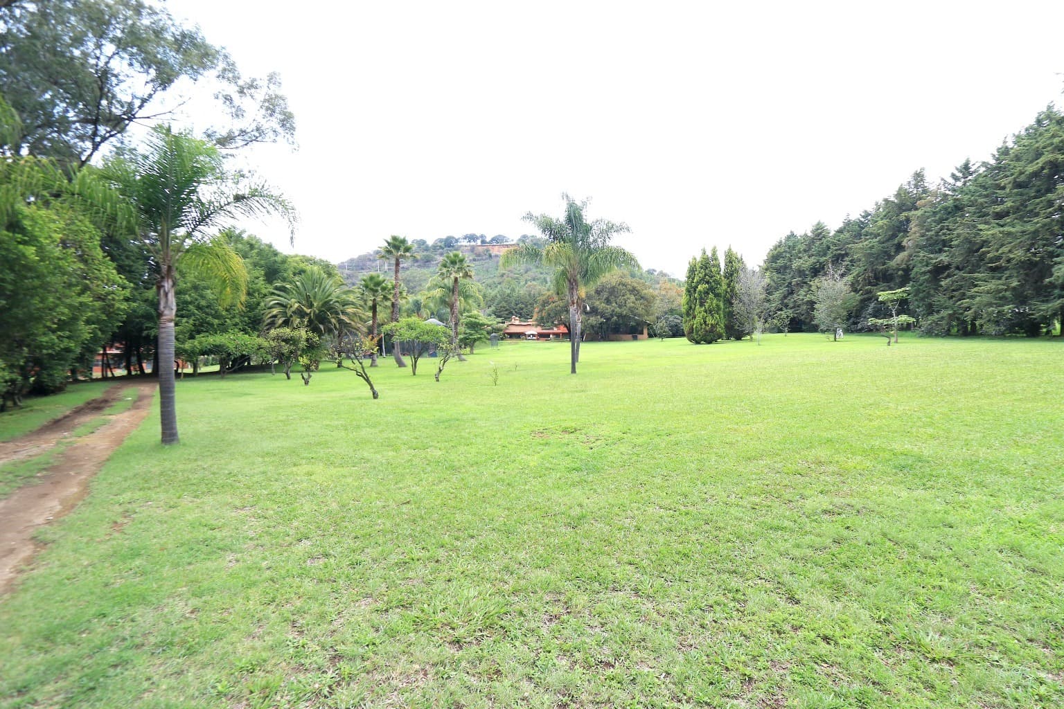 image-46