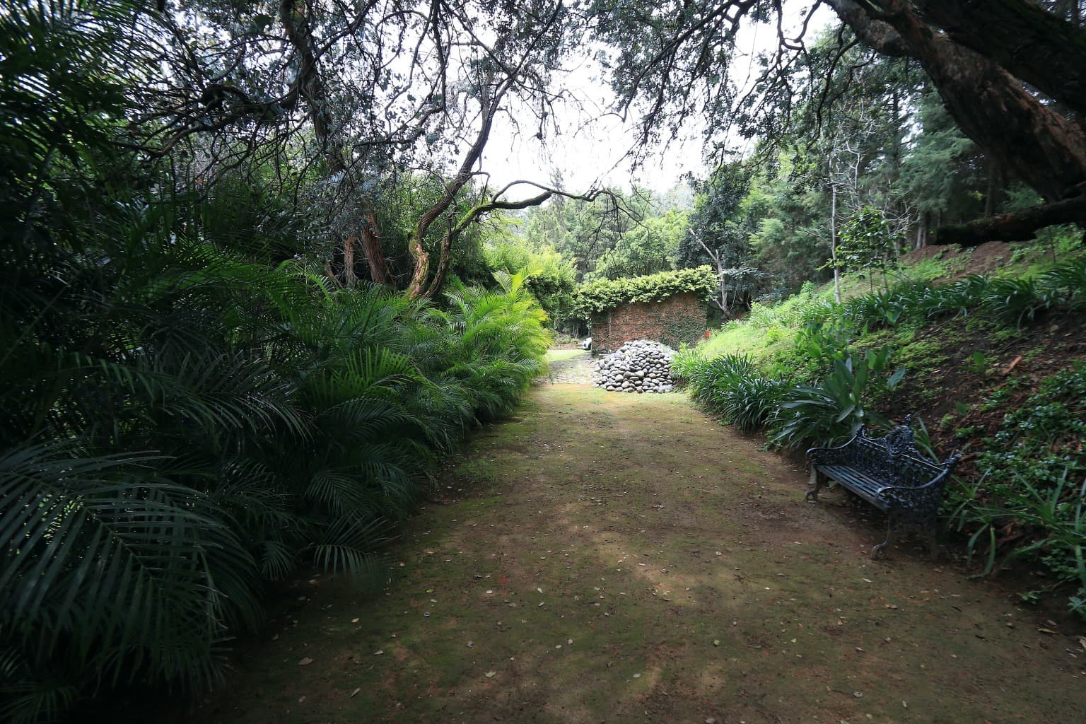 image-49