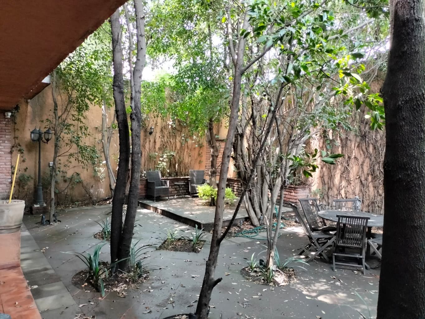 image-19
